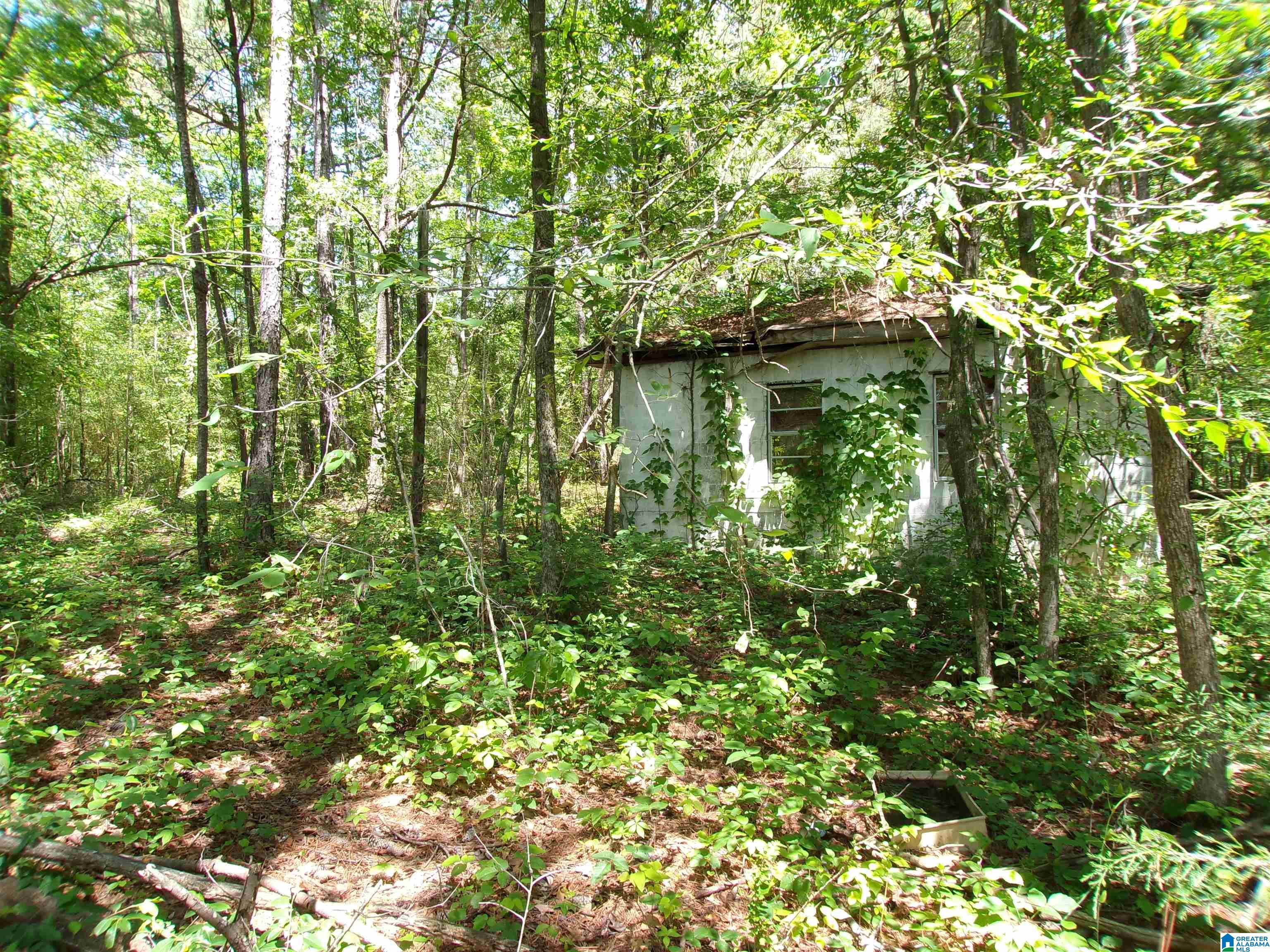 1 St Mary Road South, Unit 1 Lincoln, AL 35096 - Photo 7 of 23