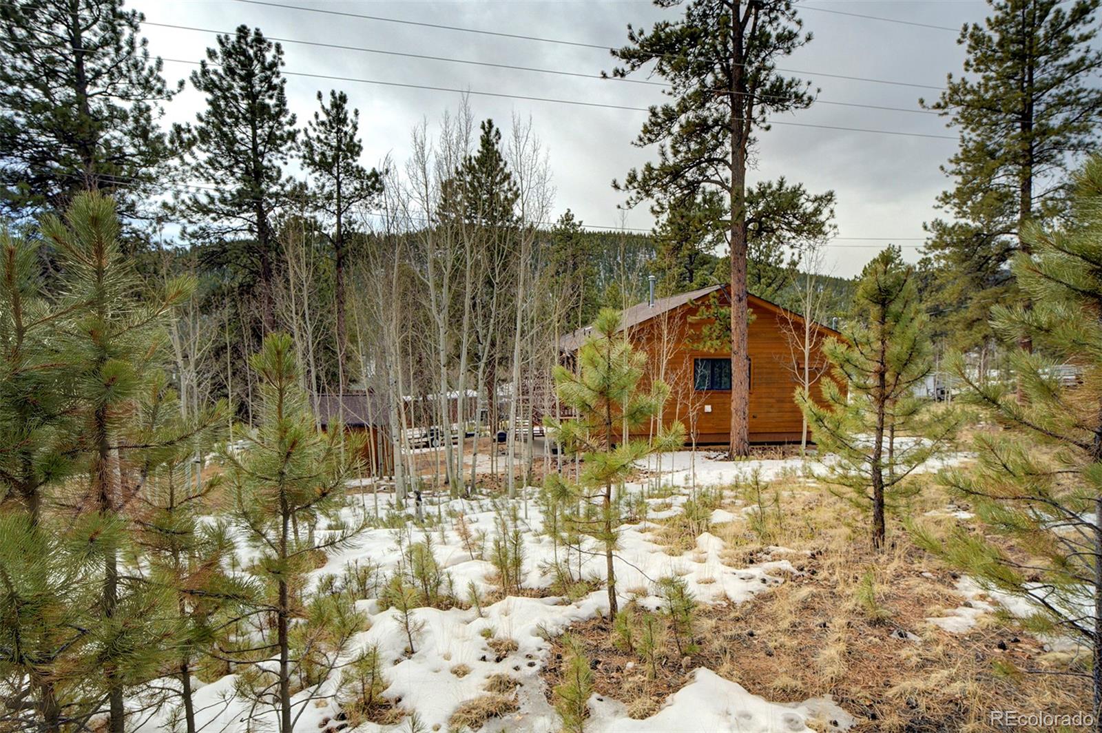 371 Hall Road Bailey, CO 80421 - Photo 40 of 40 a front view of a house with a yard