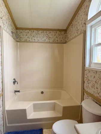 a bathroom with a bathtub and a toilet