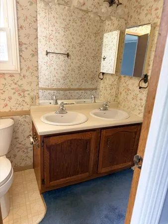 a bathroom with a sink and a toilet