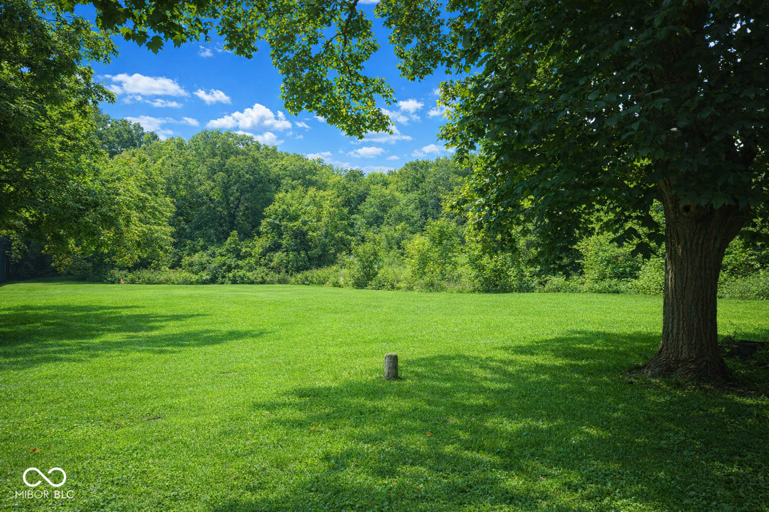 8225 Crawfordsville Road Indianapolis, IN 46214 - Photo 2 of 12