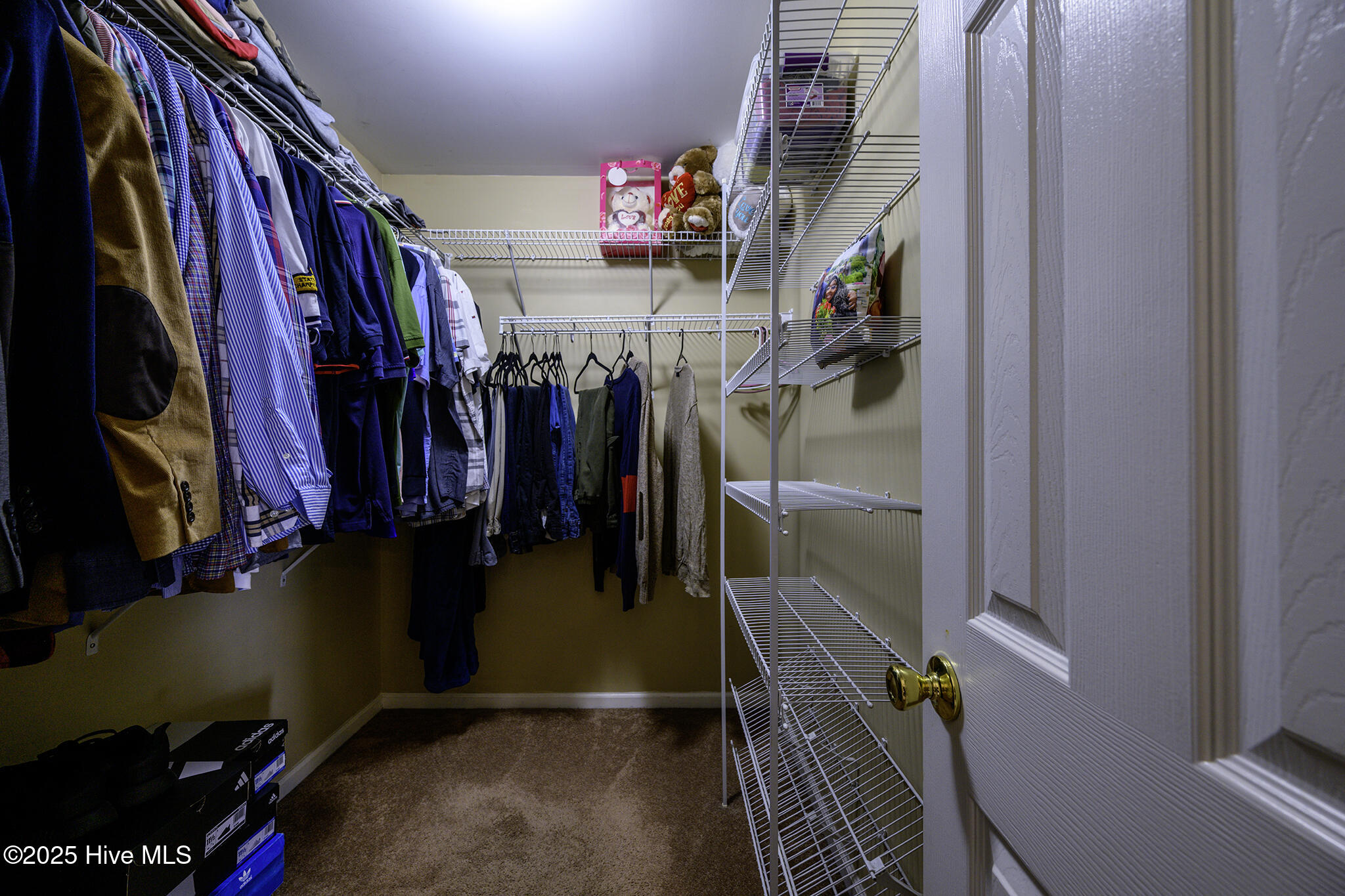 1158 Tebo Road New Bern, NC 28562 - Photo 26 of 46 Primary Walk-in Closet