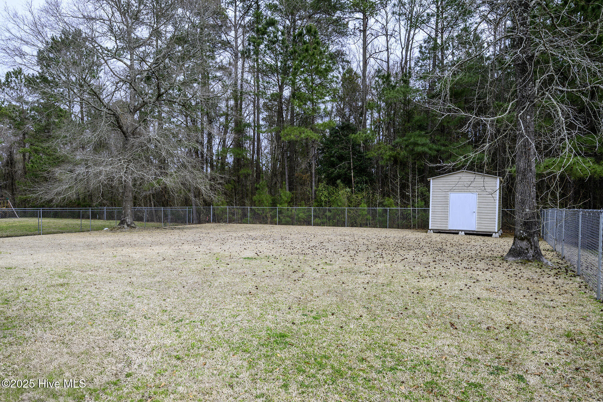 1158 Tebo Road New Bern, NC 28562 - Photo 42 of 46 Fenced Back Yard