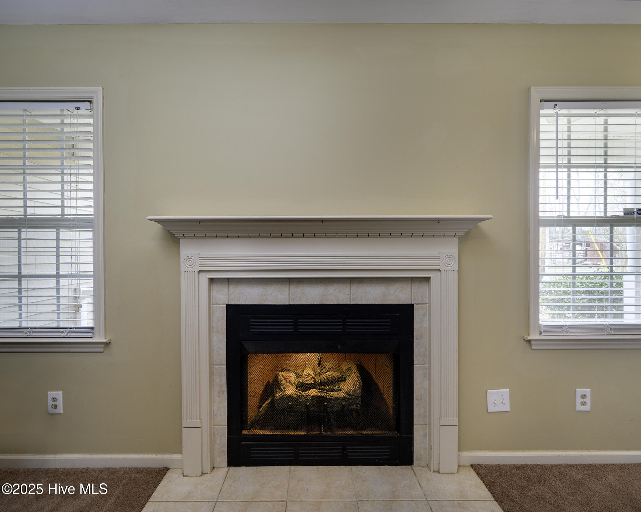 1158 Tebo Road New Bern, NC 28562 - Photo 10 of 46 Cozy Fireplace