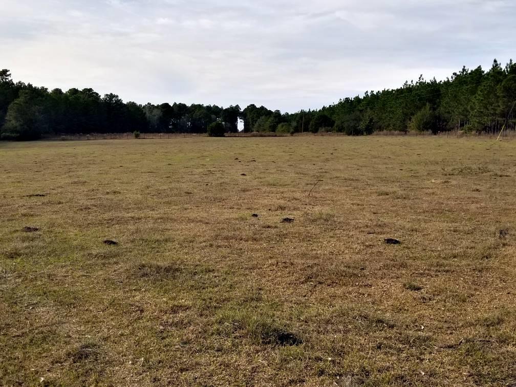65 County Road 65 Abbeville, AL 36310 - Photo 1 of 1