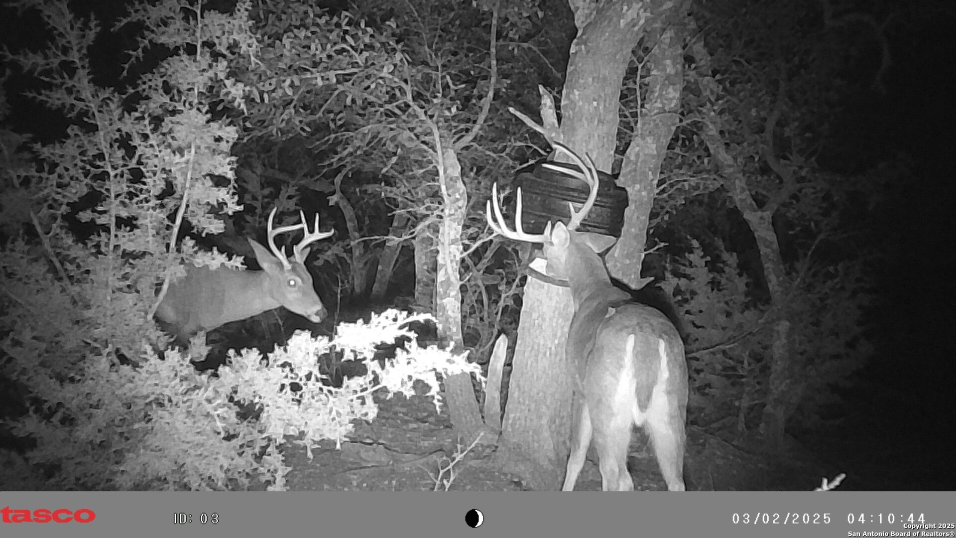 Lot 8 Orion Way Junction Junction, TX 76849 - Photo 17 of 22 a close up of a white sink