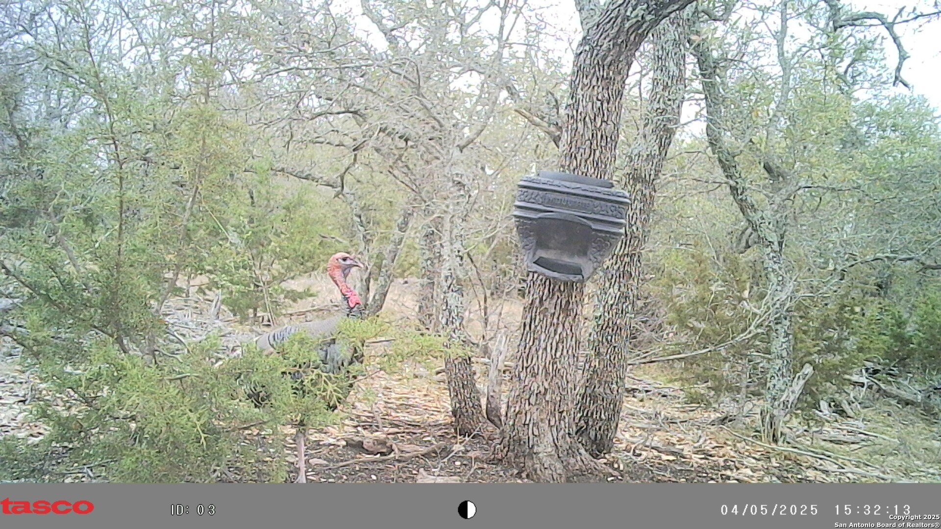 Lot 8 Orion Way Junction Junction, TX 76849 - Photo 19 of 22 a picture of street view
