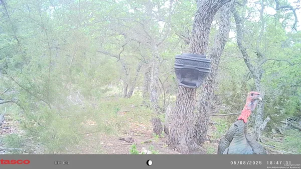 $259,500 | Lot 8 Orion Way Junction, Junction, TX 76849