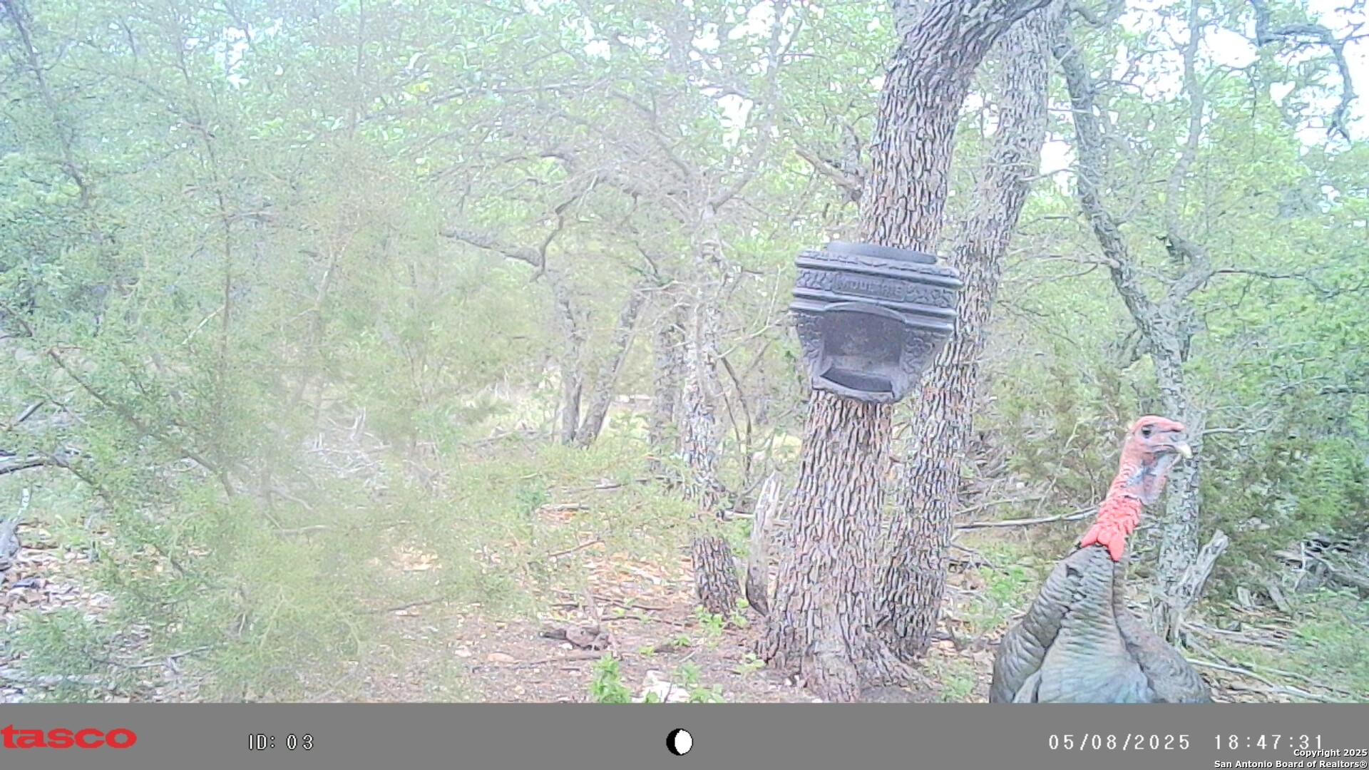 Lot 8 Orion Way Junction Junction, TX 76849 - Photo 20 of 22 a view of a wooden door
