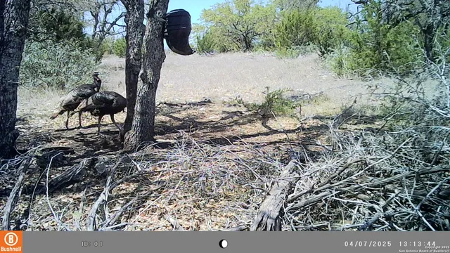 $279,500 | Lot 8 Orion Way Junction, Junction, TX 76849