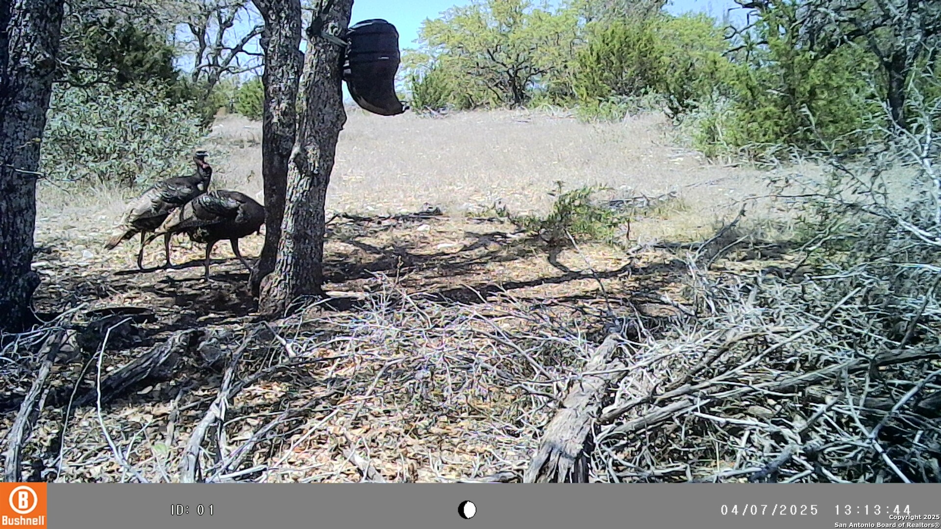Lot 8 Orion Way Junction Junction, TX 76849 - Photo 21 of 22 a view of a yard