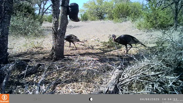 $279,500 | Lot 8 Orion Way Junction, Junction, TX 76849