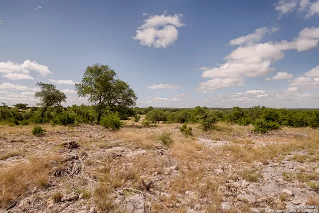 a view of a dry yard with wooden fence