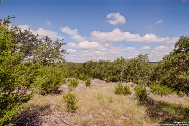 a view of a bunch of trees and houses