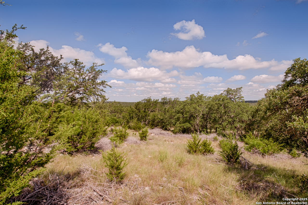 Lot 8 Orion Way Junction Junction, TX 76849 - Photo 5 of 22 a view of a bunch of trees and houses