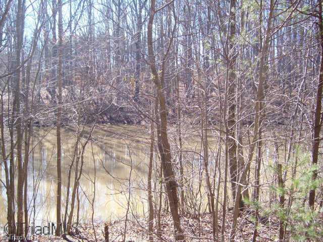 103 Benton Road Reidsville, NC 27320 - Photo 5 of 8 Other. Pond on property