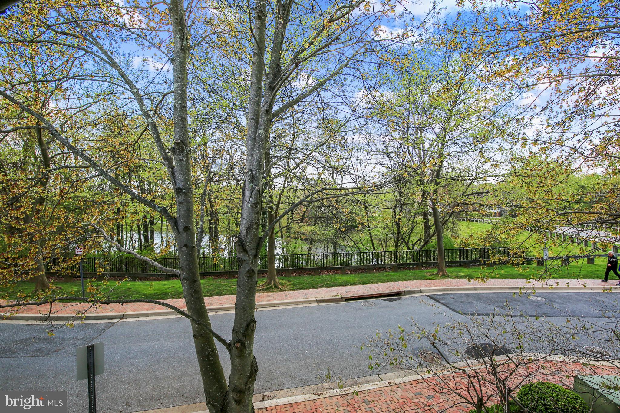 421 Kent Square Road Gaithersburg, MD 20878 - Photo 65 of 78 View of trees and lake from carriage hosue