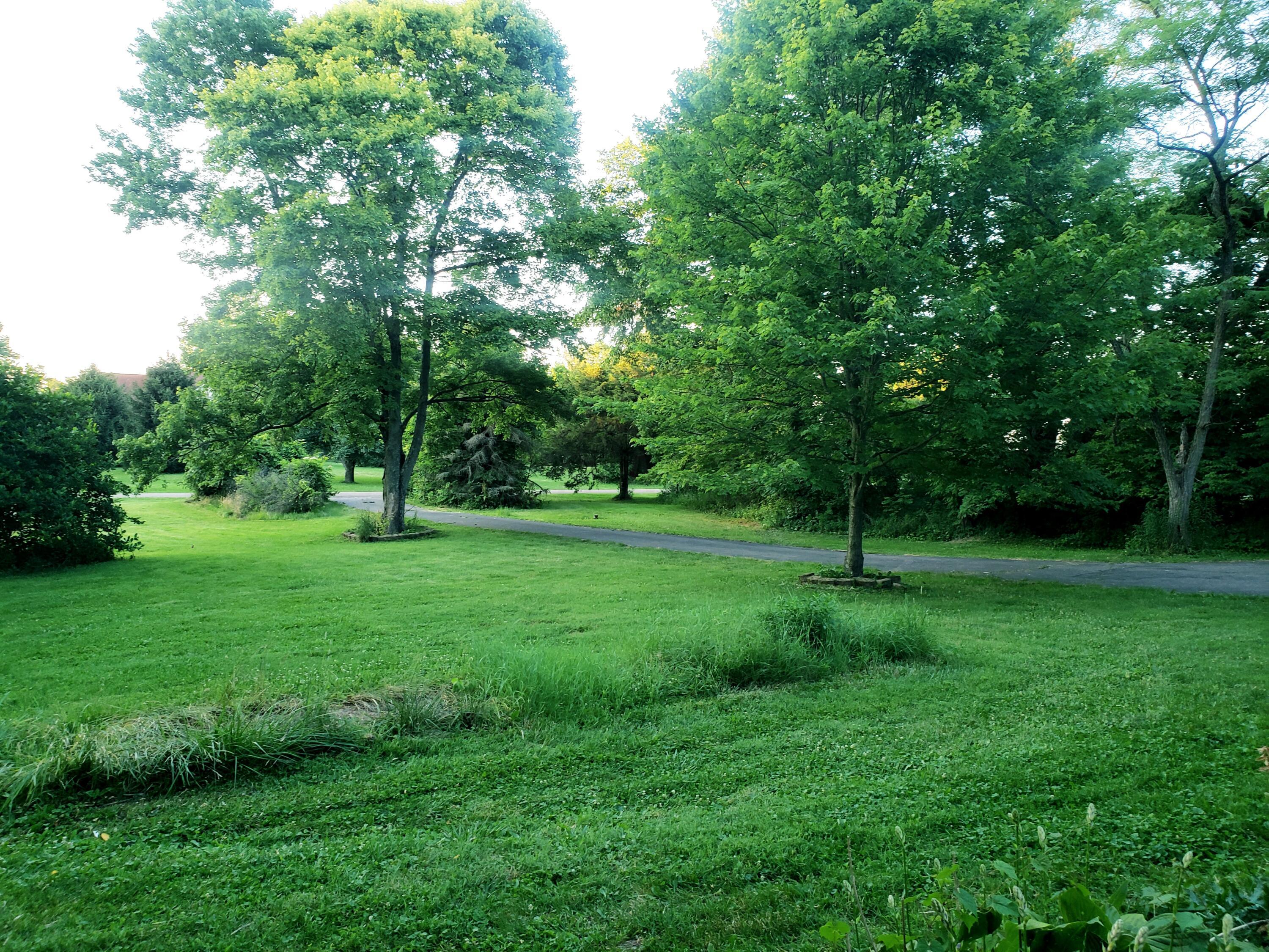 3071 Van Fossen Road Utica, OH 43080 - Photo 52 of 53 Front Yard