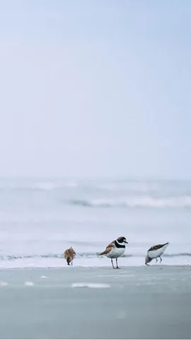 $169,000 | 1830 Meadows Circle West, Unit 1830, Boynton Beach, FL 33436