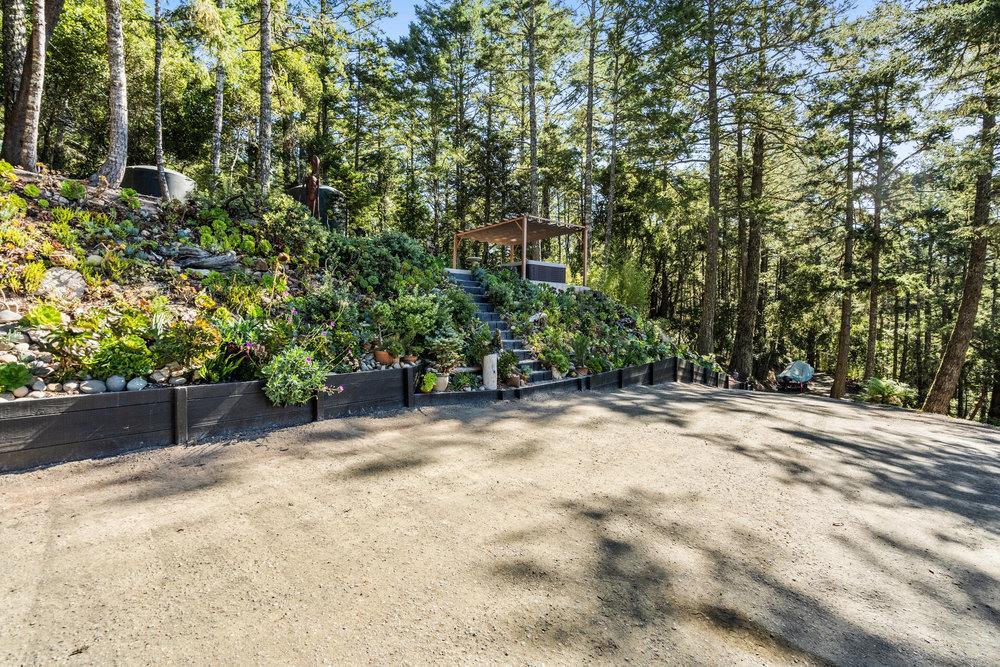 200 South Ranch Road Pescadero, CA 94060 - Photo 15 of 40 a view of a yard with plants and trees