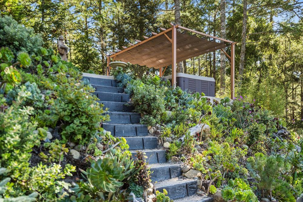 200 South Ranch Road Pescadero, CA 94060 - Photo 16 of 40 a view of a garden with large trees