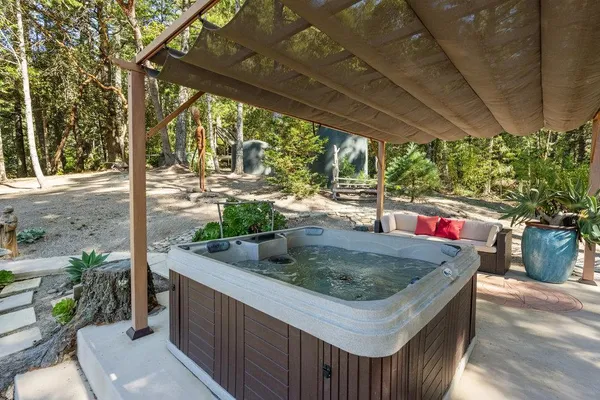 a view of a backyard with plants and a large tree