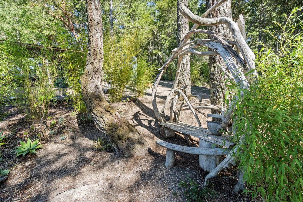 200 South Ranch Road Pescadero, CA 94060 - Photo 25 of 40 a view of a backyard with plants and a large tree