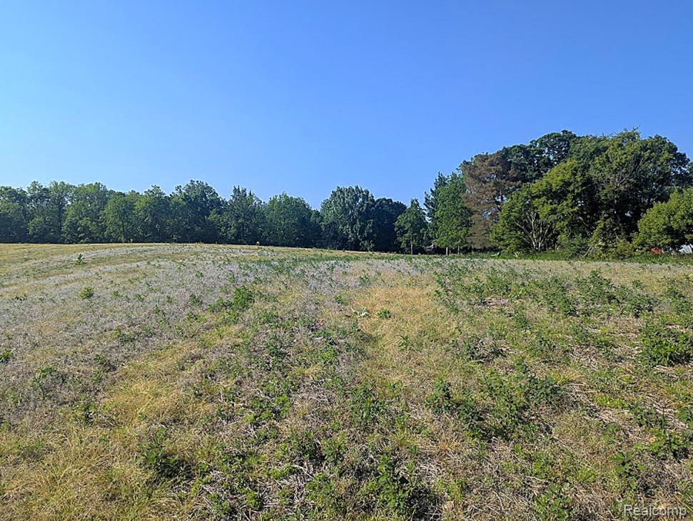 Parcel A - Rolston Road Gaines, MI 48451 - Photo 15 of 19