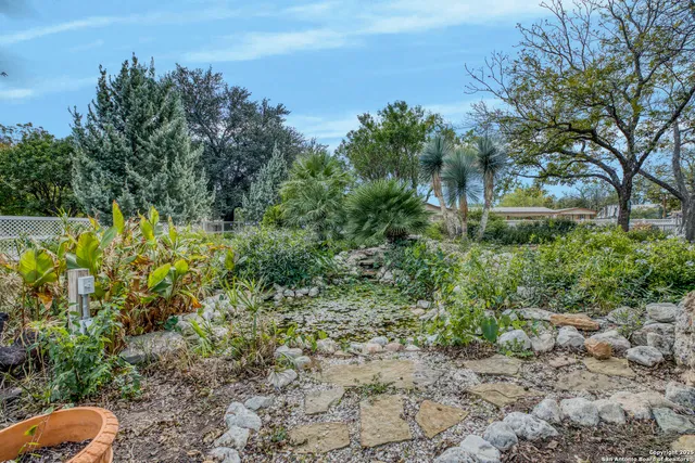 a view of a garden with large trees