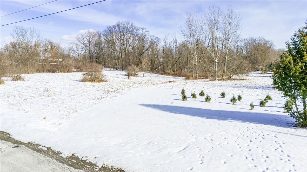 0 Michigan Road Lima, NY 14485 - Photo 3 of 3