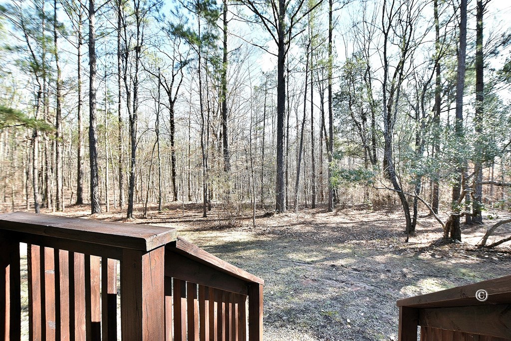 259 Mullins Road Hamilton, GA 31811 - Photo 26 of 27 Gallery Image 26