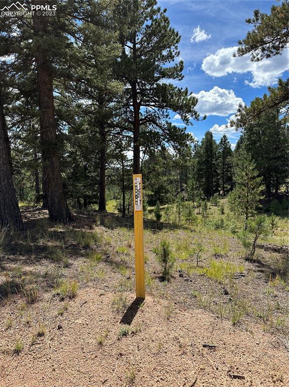 512 County Rd Divide Divide, CO 80814 - Photo 11 of 11 a backyard of a house with lots of green space