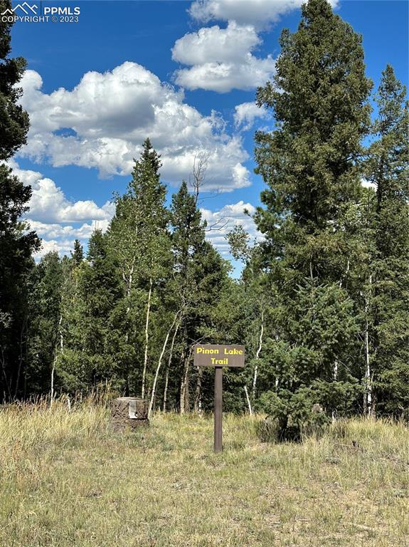 512 County Rd Divide Divide, CO 80814 - Photo 2 of 11 a backyard of a house with lots of green space