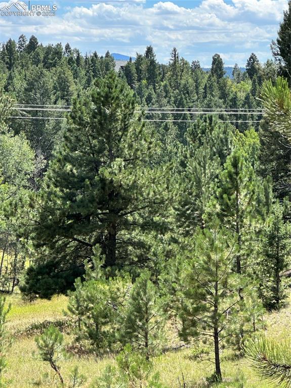 512 County Rd Divide Divide, CO 80814 - Photo 9 of 11 a view of a yard and mountain view