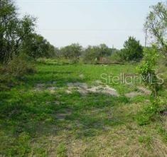 5224 Clarence Gordon Jr Road Plant City, FL 33567 - Photo 3 of 3