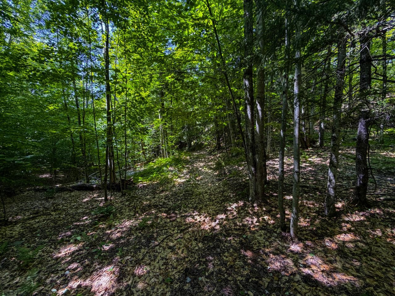 Tbd Taylor Road, Unit 9 Waterbury, VT 05676 - Photo 33 of 39 Gallery Image 33
