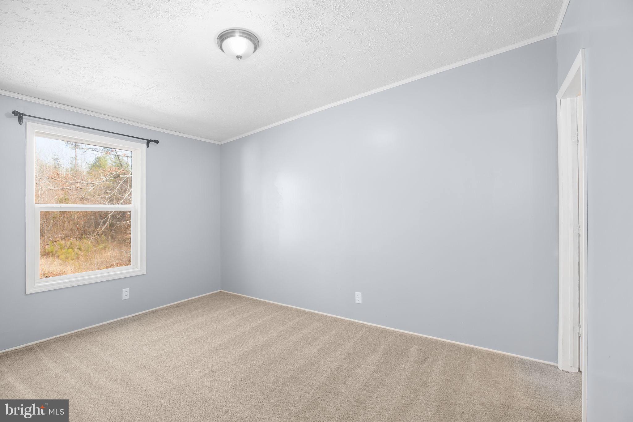 10000 Hummingbird Lane Partlow, VA 22534 - Photo 14 of 35 Extra bedroom 2