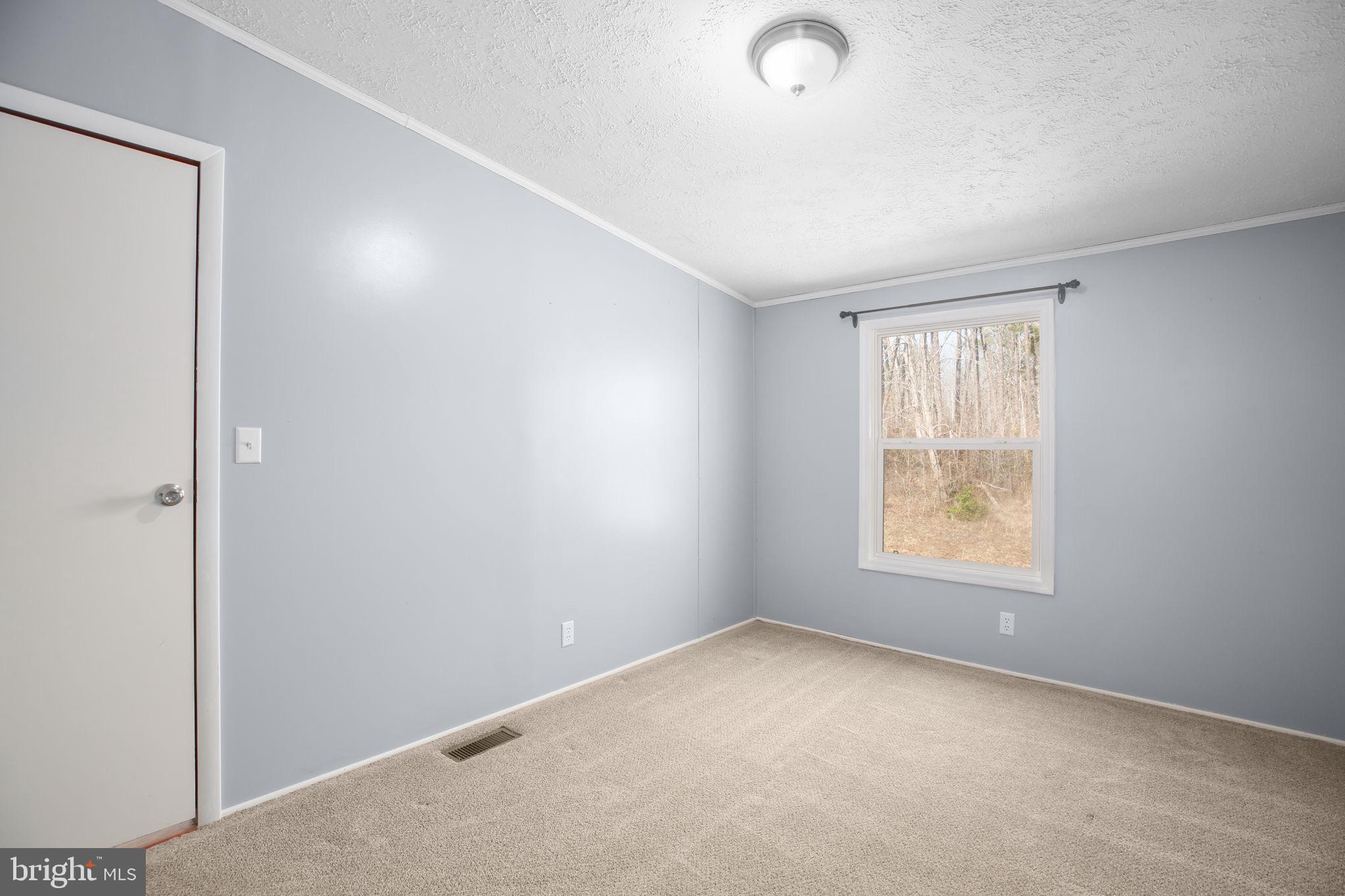 10000 Hummingbird Lane Partlow, VA 22534 - Photo 15 of 35 Extra bedroom 2