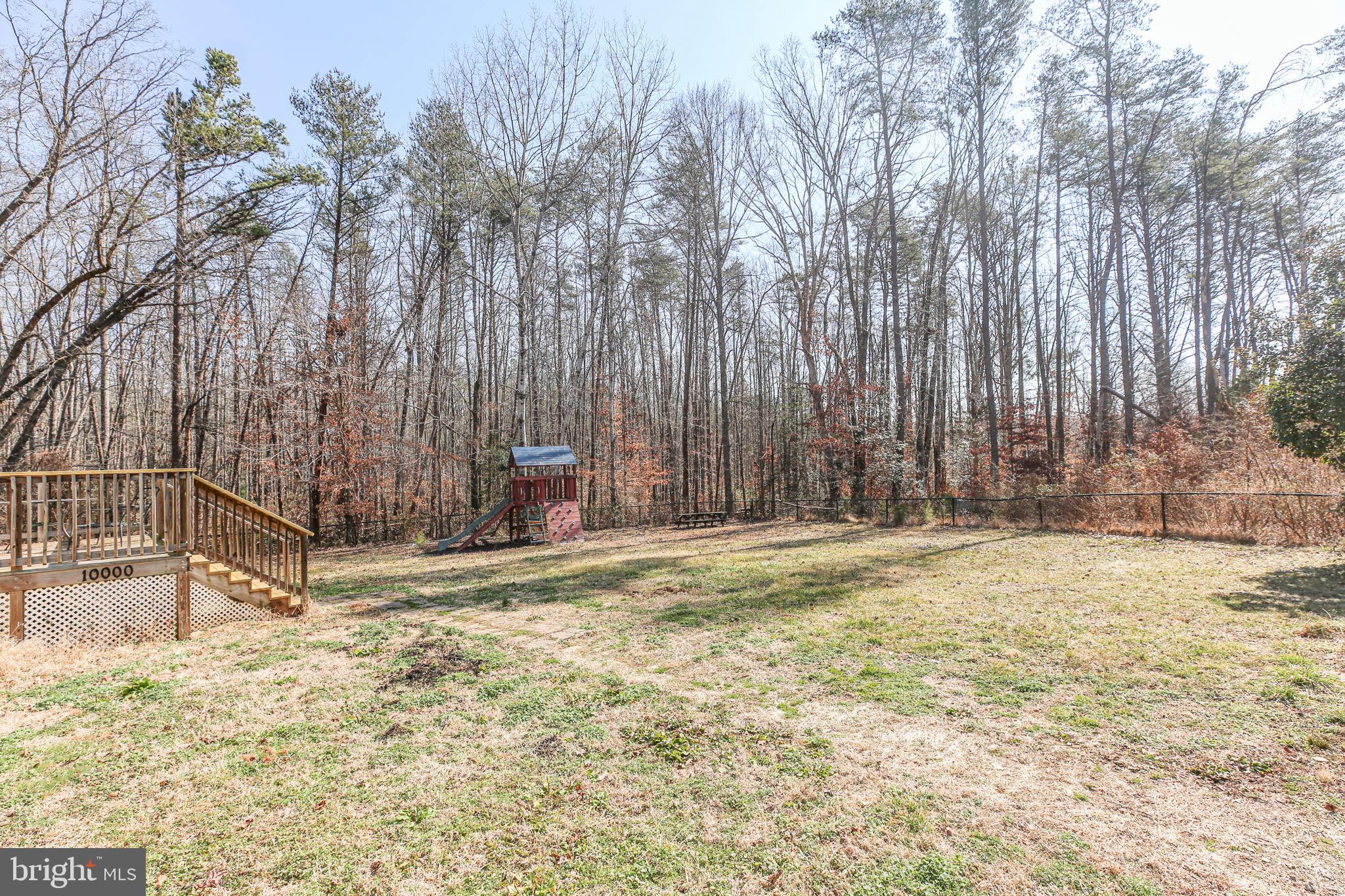 10000 Hummingbird Lane Partlow, VA 22534 - Photo 27 of 35 Serene backyard bordered by lush woods.