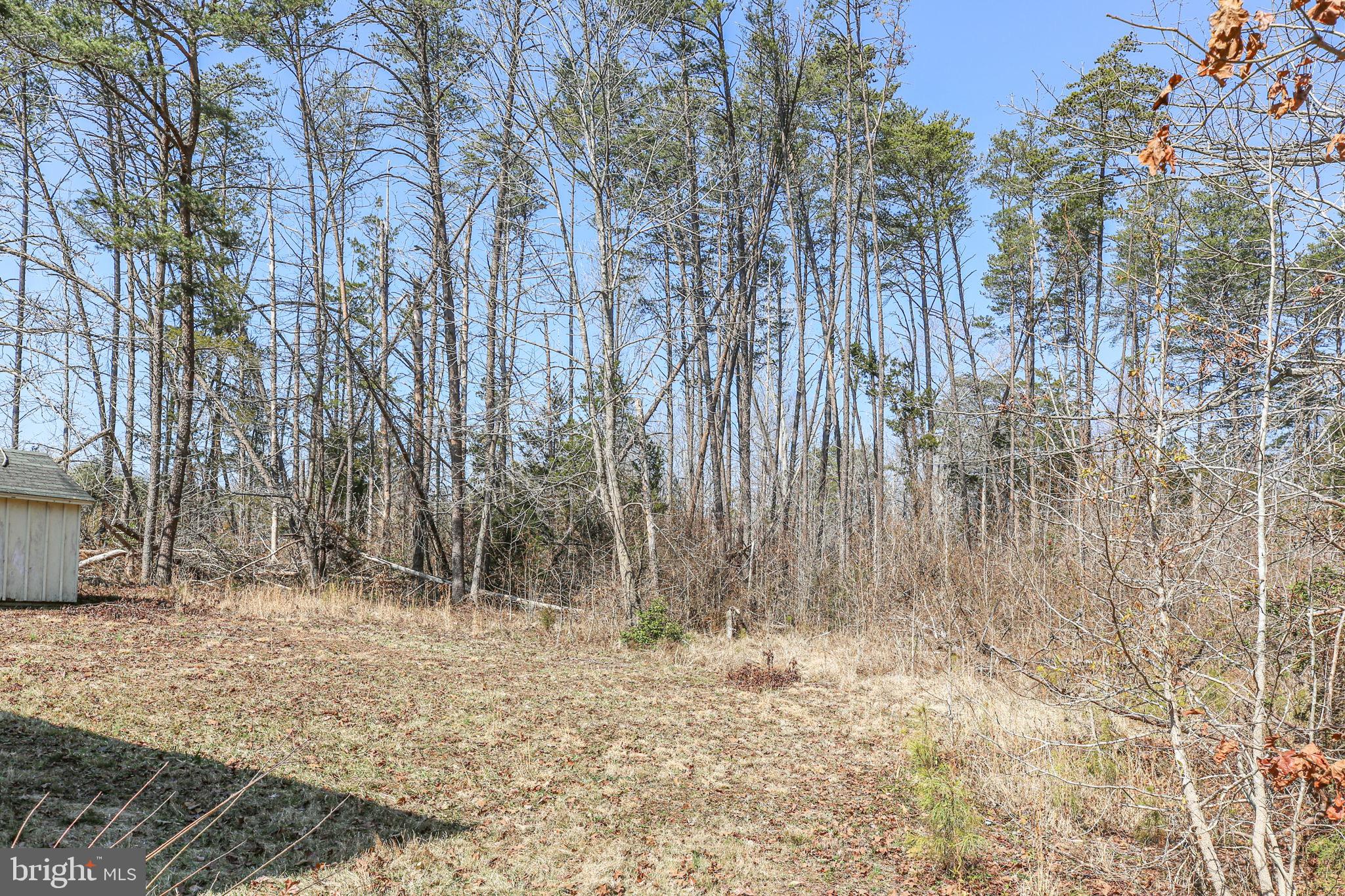 10000 Hummingbird Lane Partlow, VA 22534 - Photo 31 of 35 Serene wooded retreat awaits your vision.