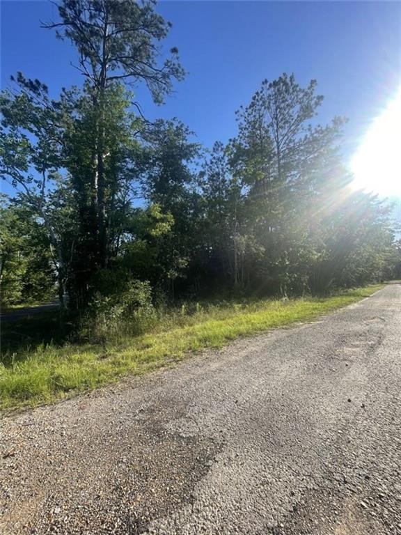 0 Ginger Lane Ragley, LA 70657 - Photo 2 of 3