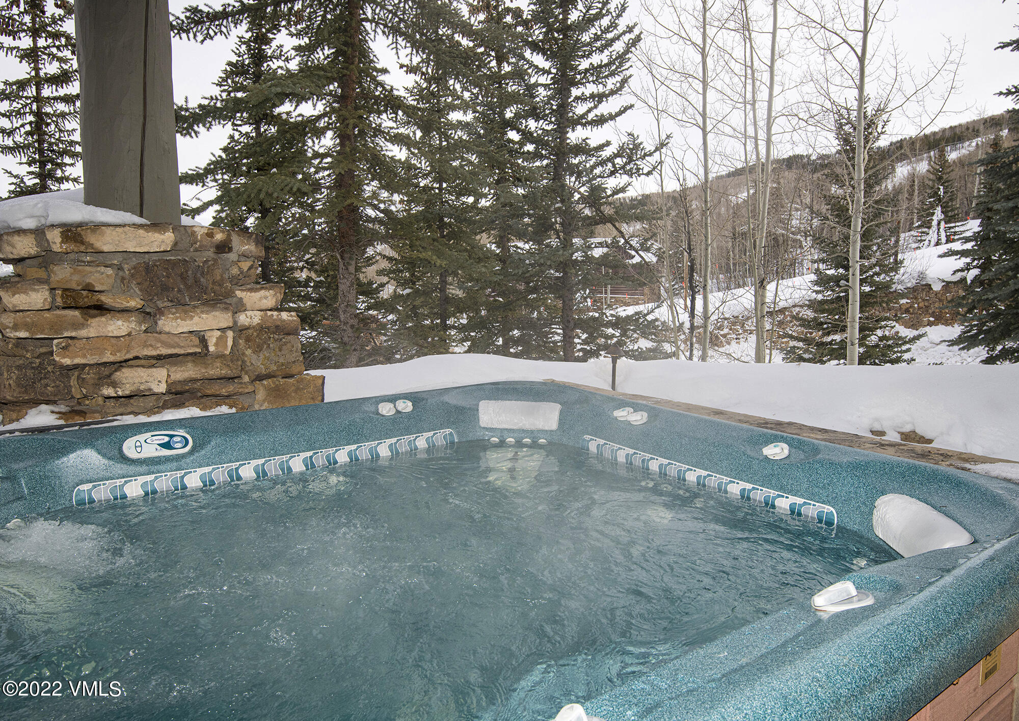 1250 Bachelor Ridge Road Avon, CO 81620 - Photo 44 of 60 a view of a yard