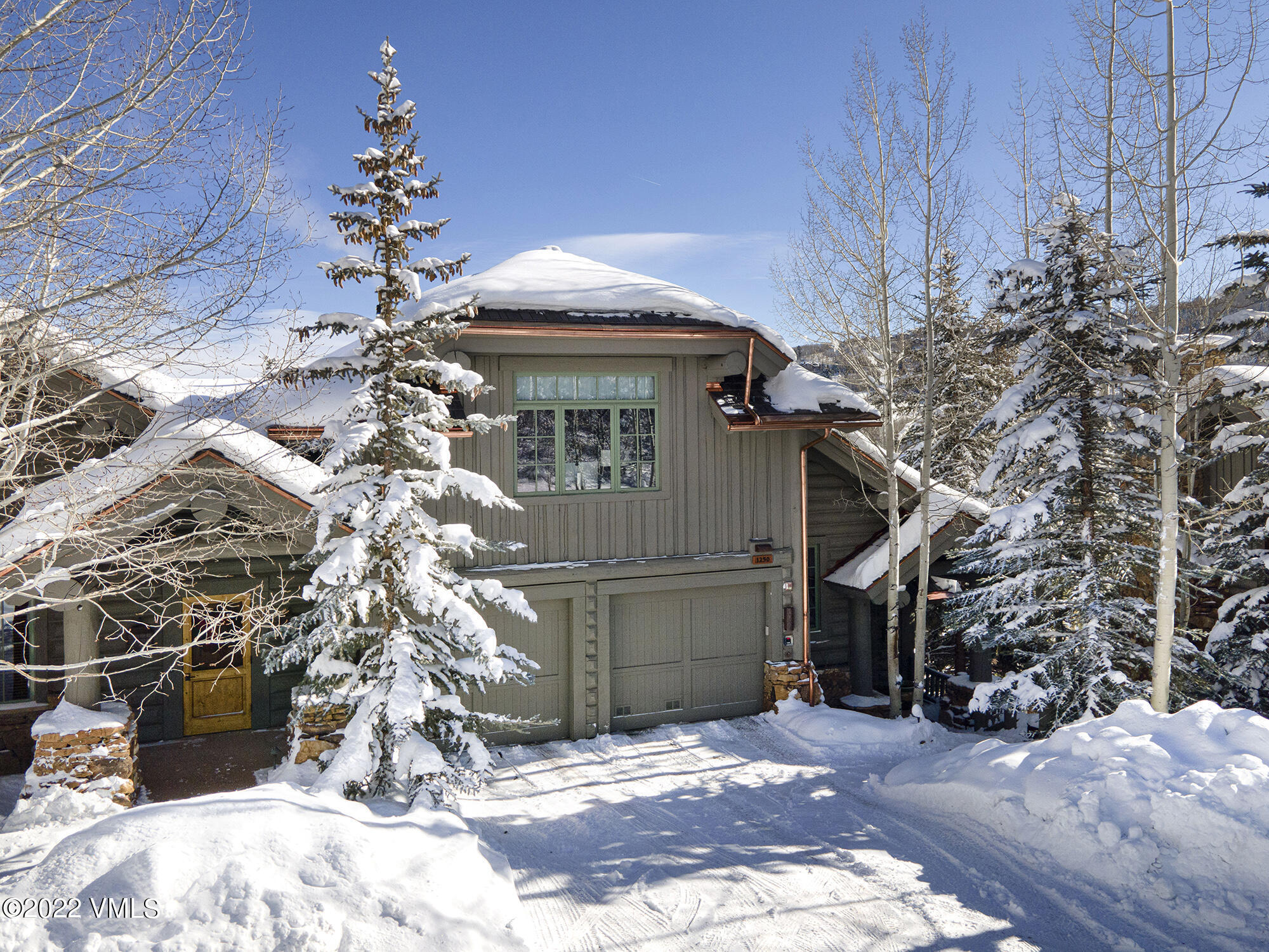 1250 Bachelor Ridge Road Avon, CO 81620 - Photo 50 of 60 a view of a house with a yard