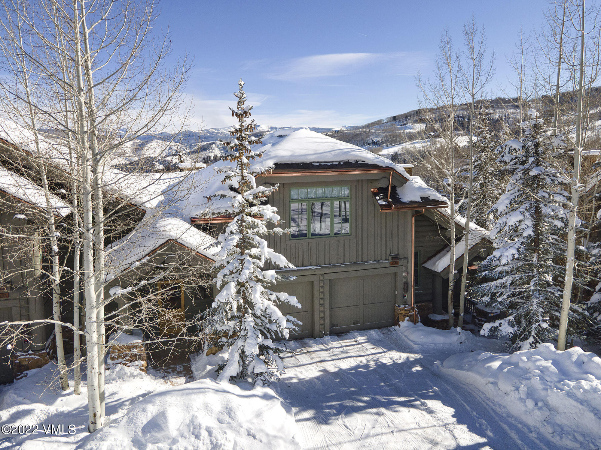 1250 Bachelor Ridge Road Avon, CO 81620 - Photo 51 of 60 a view of a house with a yard