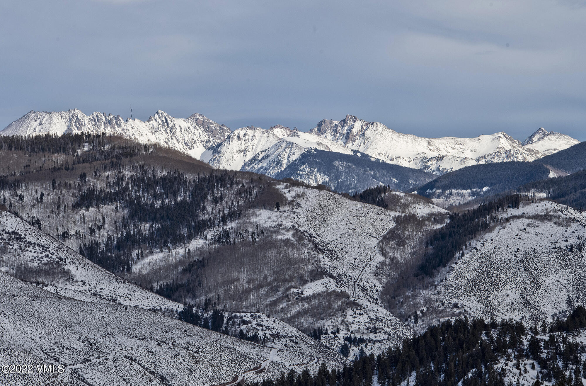 1250 Bachelor Ridge Road Avon, CO 81620 - Photo 60 of 60 a bed sitting in a middle of forest