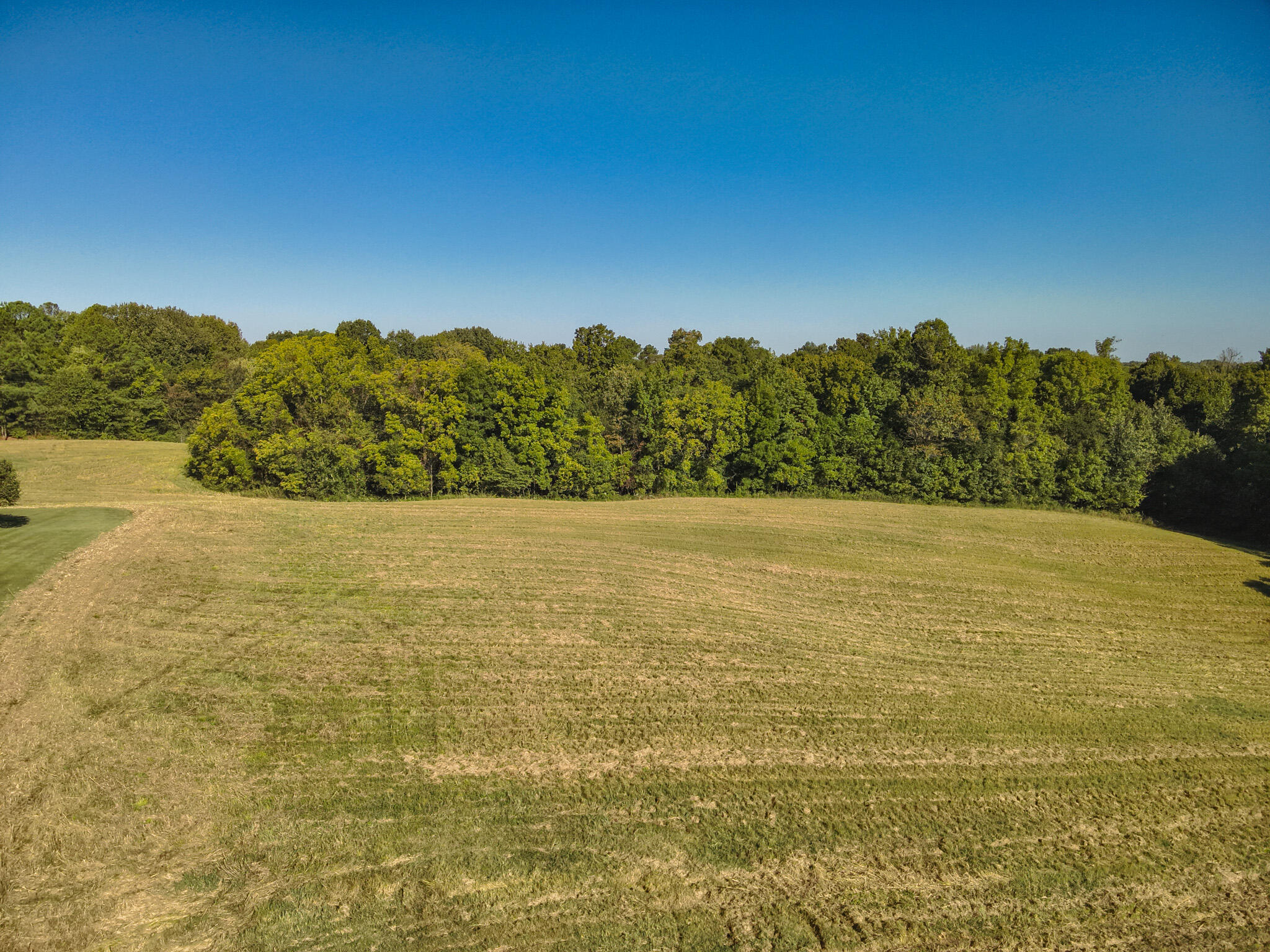 942 Crews Road Wickliffe, KY 42087 - Photo 5 of 50 5 Property