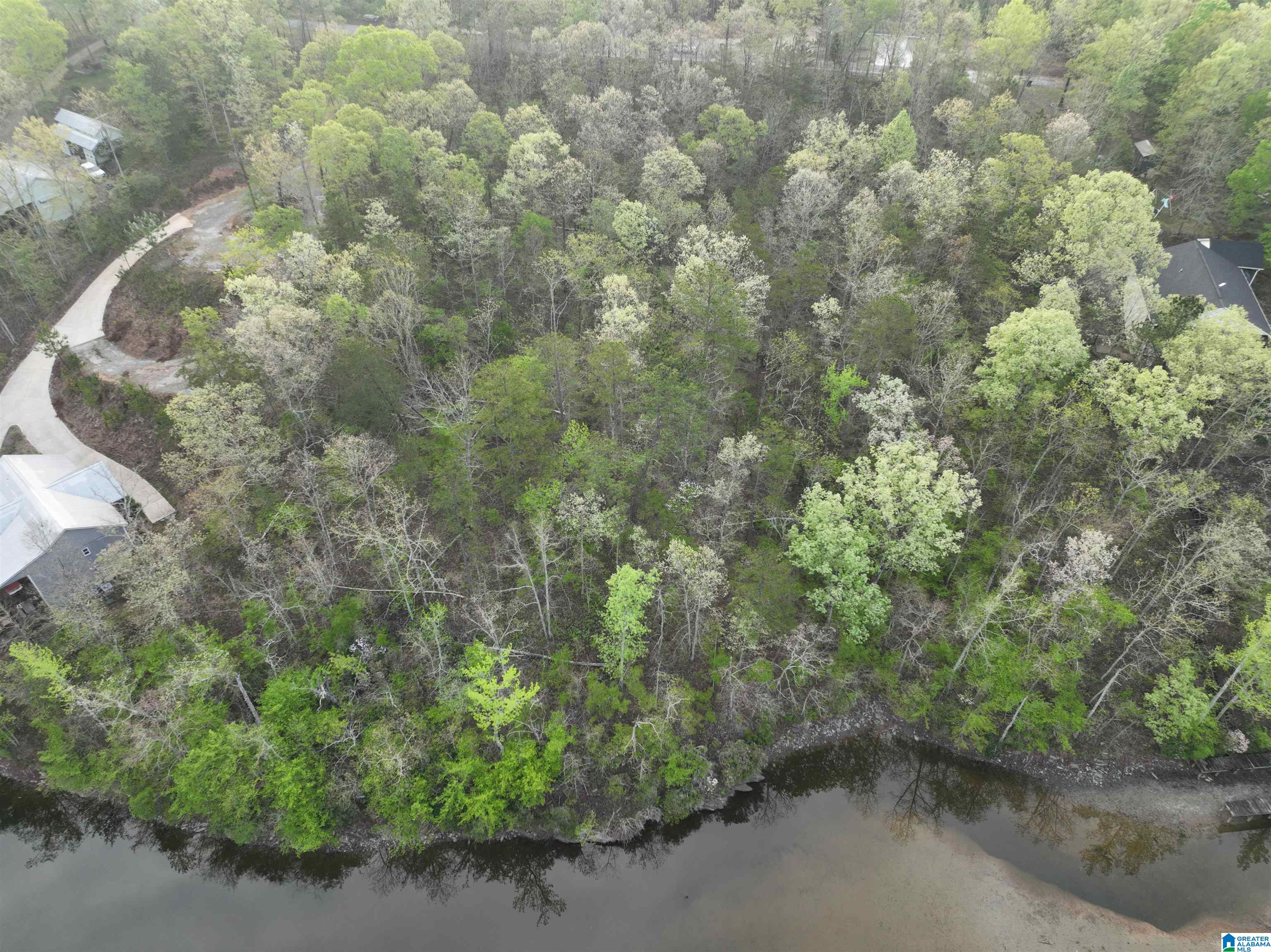 Lot 5 Dogwood Ridge, Unit LOT 5 Wedowee, AL 36278 - Photo 8 of 12