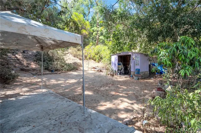 a view of a house with a yard and tree