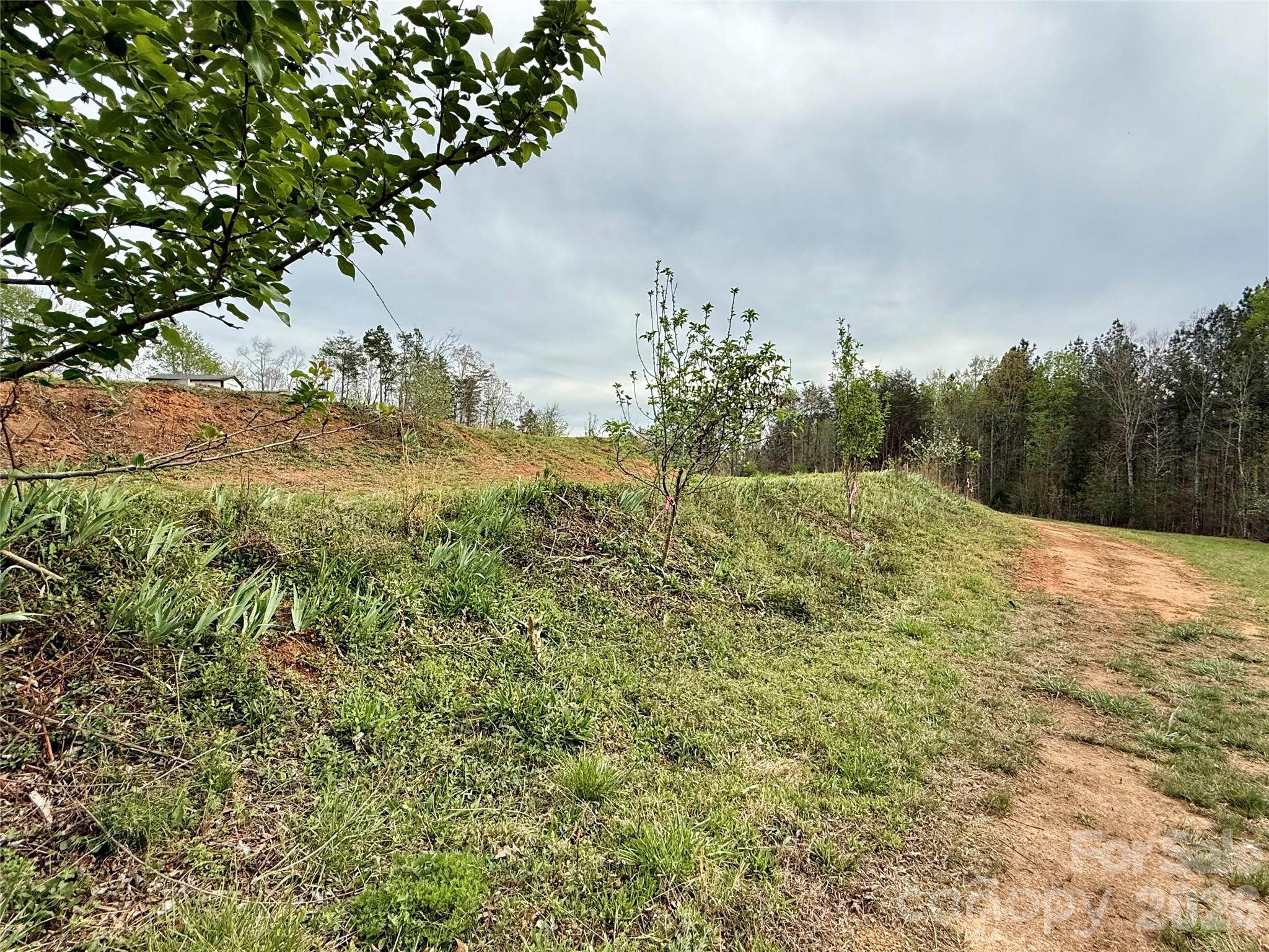 990 Romey Campbell Road Ellenboro, NC 28040 - Photo 47 of 48