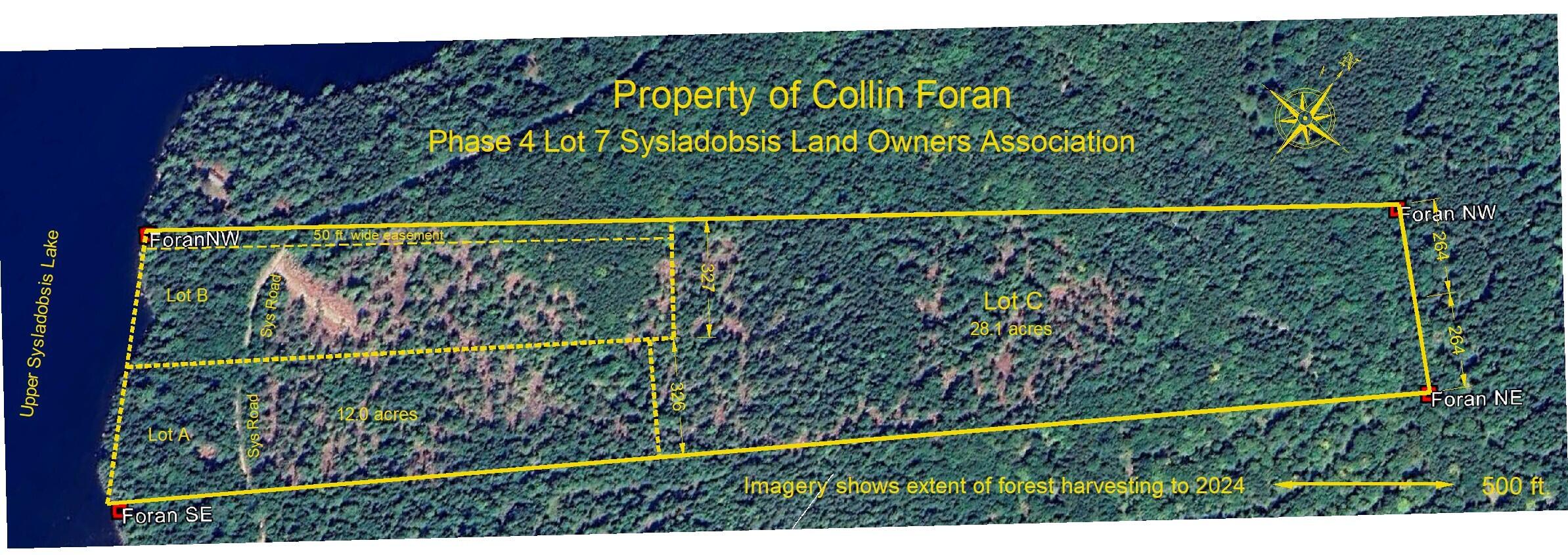 M06-lot18a Sys Road Lakeville, ME 04487 - Photo 23 of 23 Foran on Vegetation 2024
